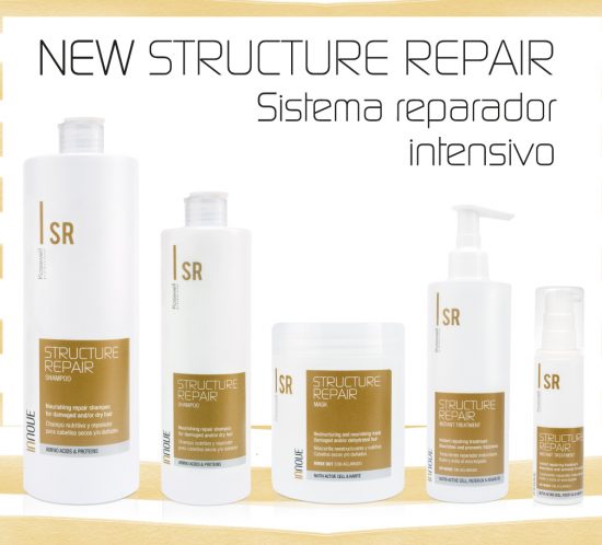 INSTANT STRUCTURE REPAIR kosswell